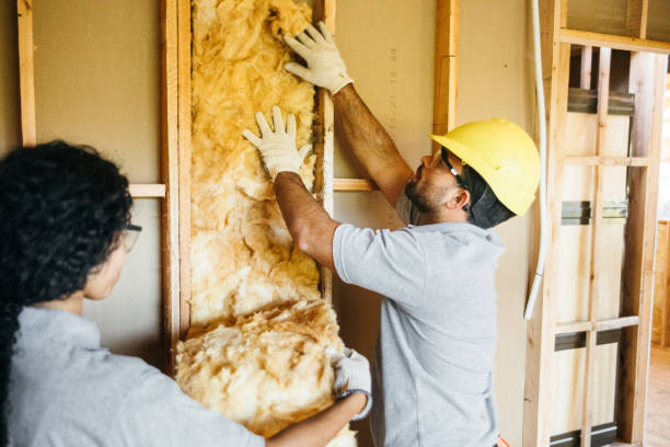 Professional Insulation in Warrior, AL